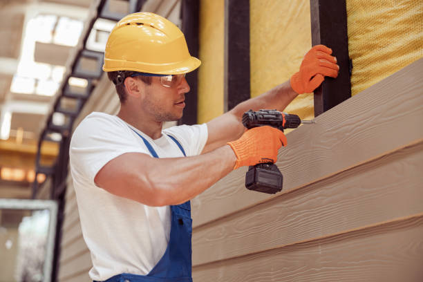 Best Brick Veneer Siding  in Alma, GA